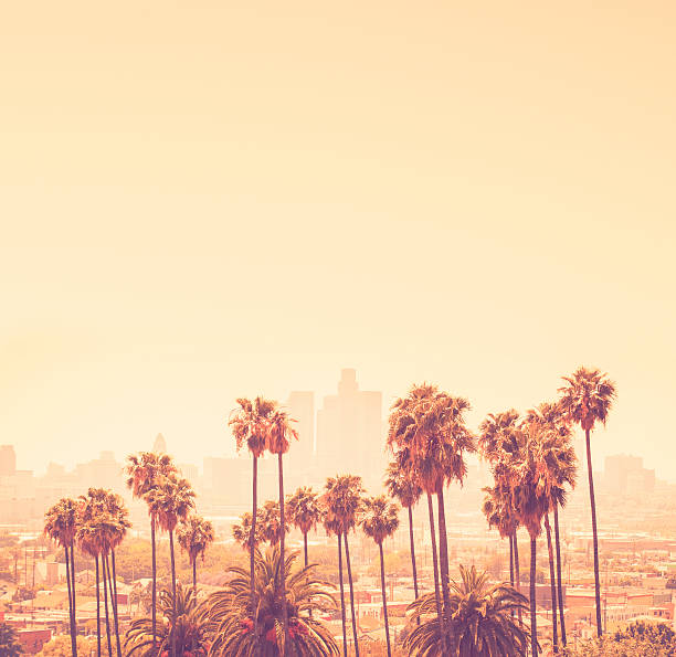 istock Los Angeles California 477684085
