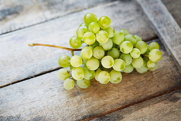 ramo de uvas videira com cluster de uva - berry vine imagens e fotografias de stock