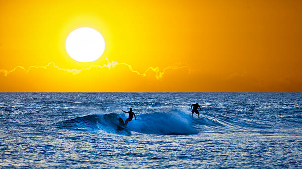 istock Sunset Surfer and Paddle Board on Pacific Waves, Kauai, Hawaii 477685630