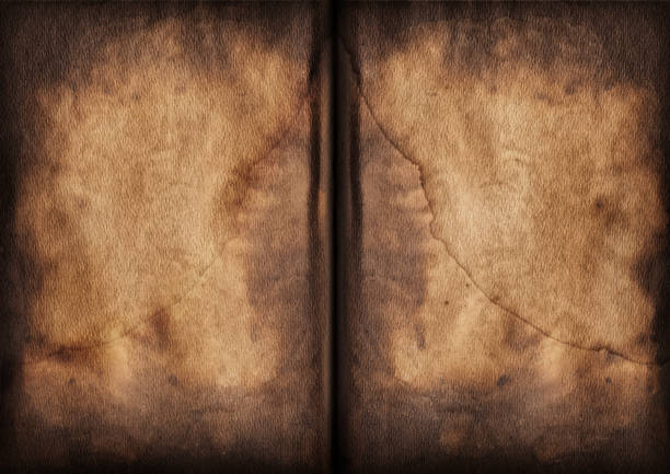 istock Antique Book Blank Pages Burnt Mottled Vignette Grunge Texture 477686249
