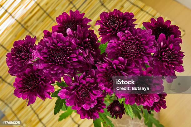 Chrysanthemums Цветок На Столе — стоковые фотографии и другие картинки Без людей - Без людей, Белый, Букет