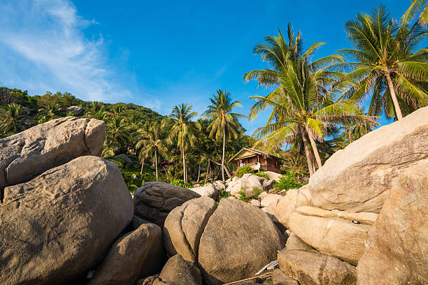 istock Sea and coconut palm  on rocky beach 477689554