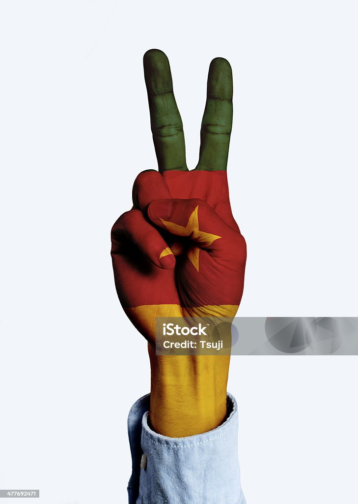 국기 카메룬에 손 팻말 - 로열티 프리 0명 스톡 사진