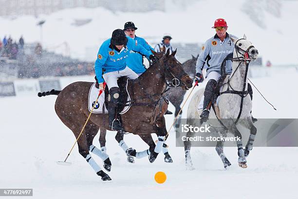 Śnieg Polo Drybling - zdjęcia stockowe i więcej obrazów 2014 - 2014, BMW, Biegać