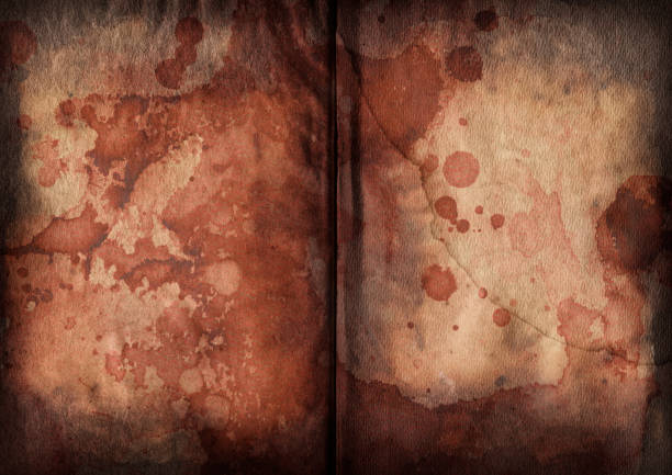 hi-res vecchio libro sangue imbevuto bruciato pagine grunge texture vignettatura - impurities foto e immagini stock