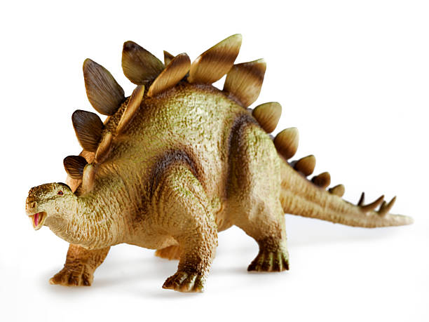 dinosauro - stegosauro foto e immagini stock