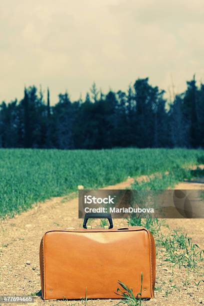 Vintage Caso No Campo - Fotografias de stock e mais imagens de Adulto - Adulto, Aldeia, Amor