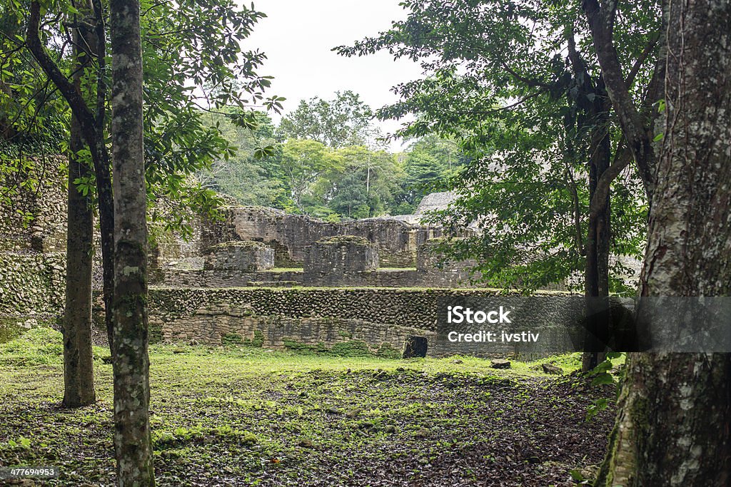 snail Caracol ruins. Cayo District. Belize. Ancient Stock Photo