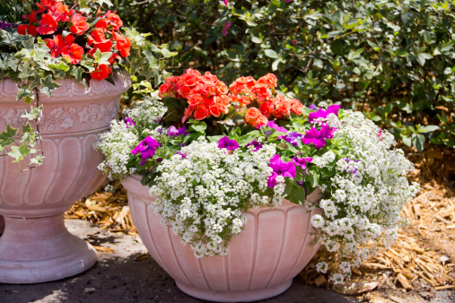 Beautiful pots full to overflowing with a variety of flowers on patio on a spring day.