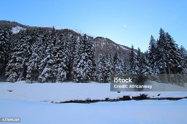 인공눈 유럽 스프루스 임산 겨울 풍경 연한 0명에 대한 스톡 사진 및 기타 이미지 - 0명, Sellrain, 가문비나무