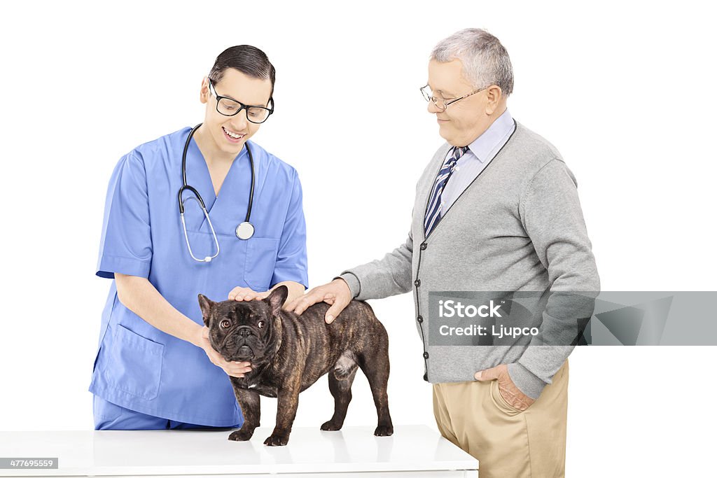 Caballero jubilados tomando su perro al veterinario - Foto de stock de Adulto libre de derechos