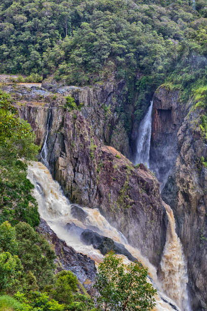 barron cataratas de queensland, australia - cairns monsoon queensland waterfall fotografías e imágenes de stock