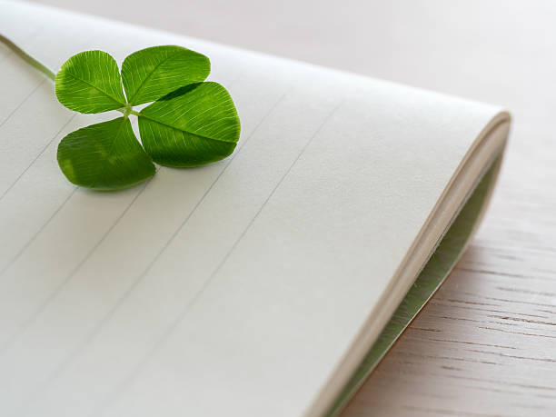 istock Four leaves and letter paper 477701236