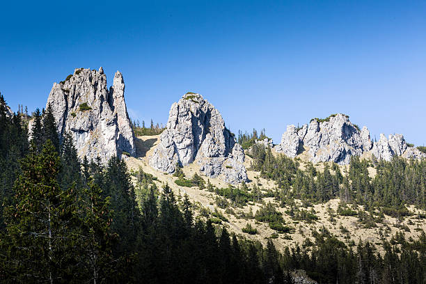 istock Chocholowska valley, Tatra Mountains, Poland 477701420