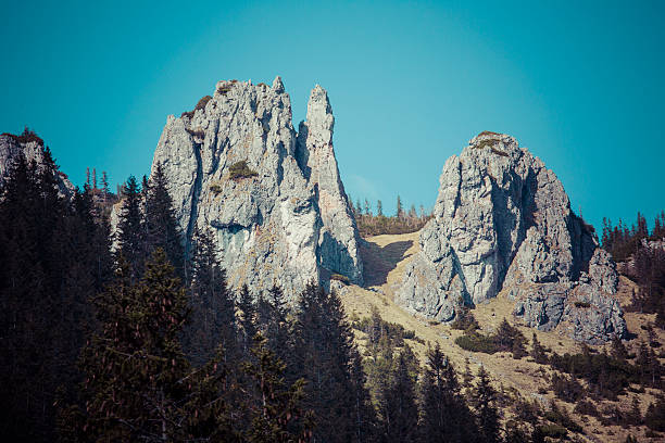 istock Chocholowska valley, Tatra Mountains, Poland 477701422