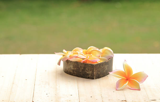 istock White Plumeria flowers on wood 477701670