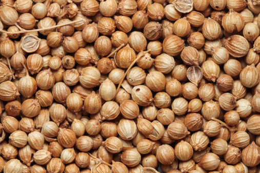 coriander seeds