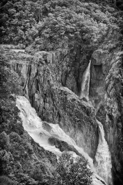 barron falls em queensland, austrália - cairns monsoon queensland waterfall imagens e fotografias de stock