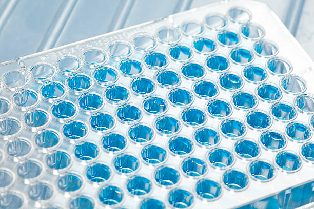 micro placa de 96 cavidades de pcr en un laboratorio - laboratory equipment dna father scientific experiment fotografías e imágenes de stock