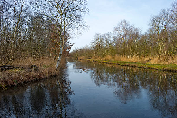 istock Canal through wetland in winter 477704755