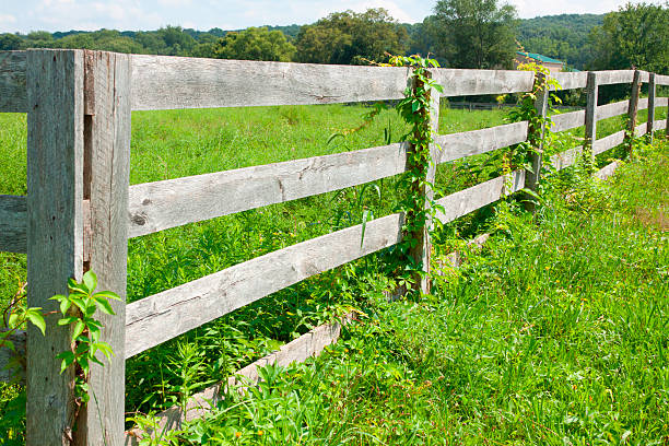 istock View of farmland. 477705848