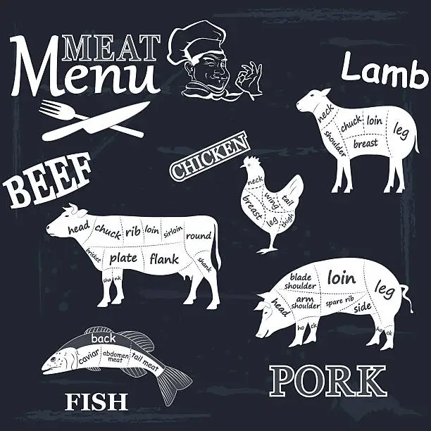 Vector illustration of Meat menu