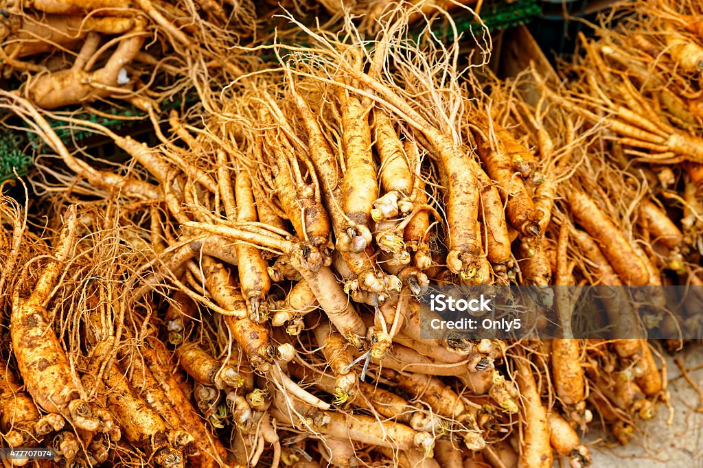 Group of ginseng root 2015 Stock Photo