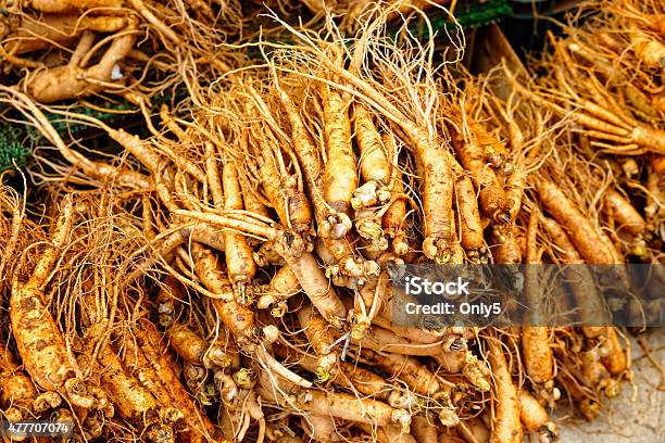 Group Of Ginseng Root Stock Photo - Download Image Now - 2015, Alternative Medicine, Beauty