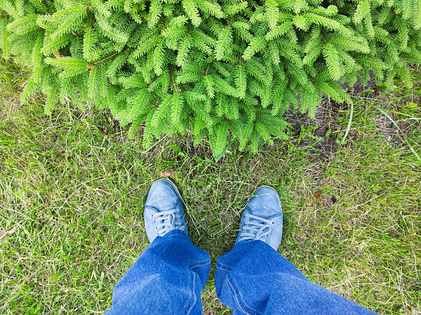 istock Feet near the Christmas tree. 477707538