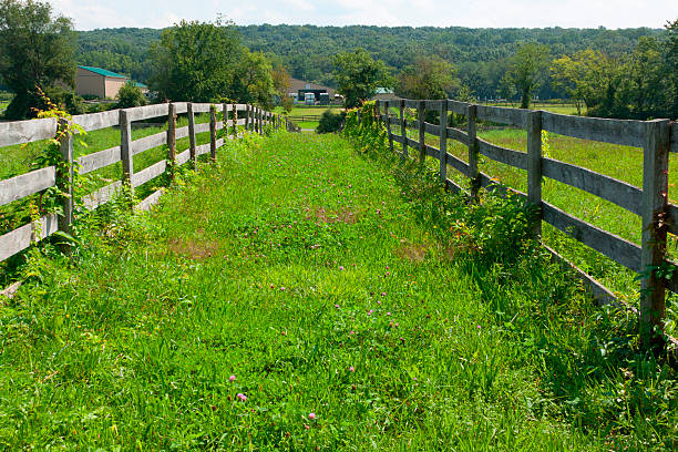 istock View of farmland. 477707602