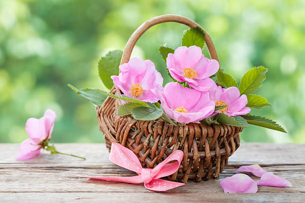 istock Wicker basket with wild rose flowers. 477708678