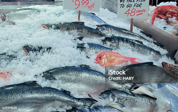 고기잡이 Market 농산물 직판장에 대한 스톡 사진 및 기타 이미지 - 농산물 직판장, 물고기, 시장-소매점