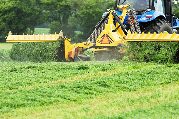 istock Tractor Towed Forage Harvester Cutting Alfalfa (Hay) Field 477711499