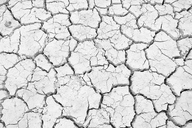 istock Dry land. Cracked ground background. 477715034