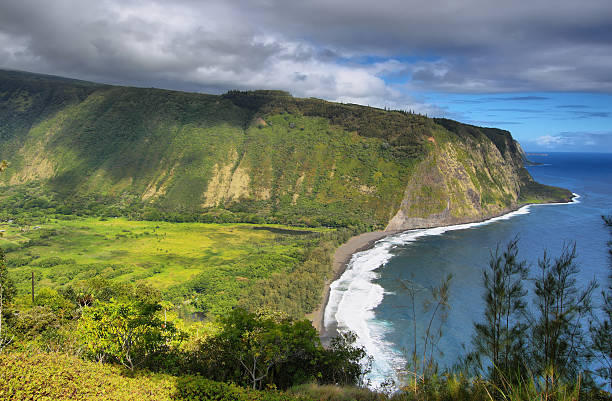 istock Waipio Valley view in Hawaii 477716045