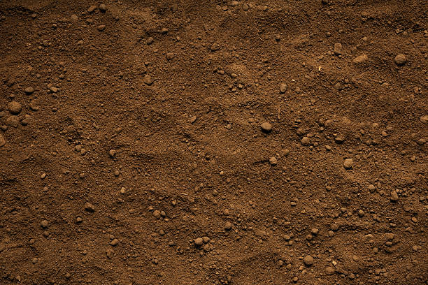istock Close-up of brown soil texture background 477716709