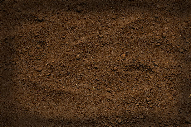 istock Close-up of brown soil texture background 477717007