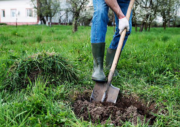 homem exploração um buraco - gardening shovel digging flower bed - fotografias e filmes do acervo