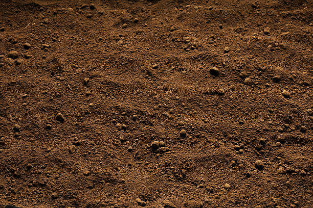 istock Close-up of brown soil background. 477719165