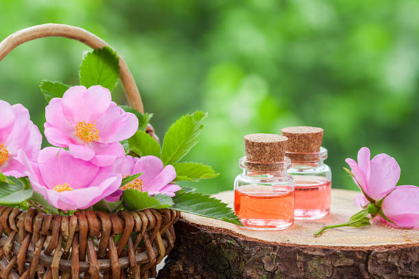 Wicker basket with rose hip flowers and bottles of oil stock photo