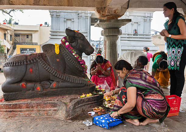 nandi a adoração ao sri naheshwara em bangalore. - nandi - fotografias e filmes do acervo