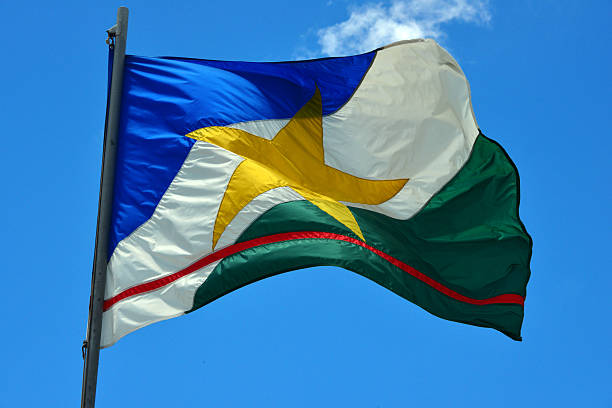 State flag of Roraima - Brazil State flag of Roraima - Brazil. It is the northernmost unit of the Federation and confines with Venezuela (North and West), the Guyana (East), the State of Pará (South-East) and the State of Amazonas (south and west) mount roraima south america stock pictures, royalty-free photos & images