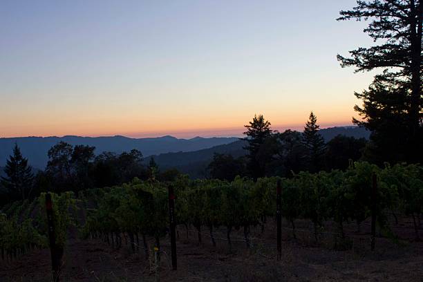 puesta de sol en las montañas de los gatos en california - acreage fotografías e imágenes de stock