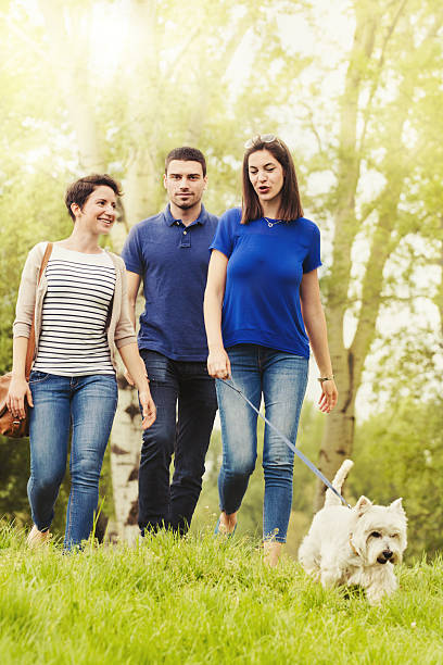 istock Three friends with dog walking in park and having fun 477723266
