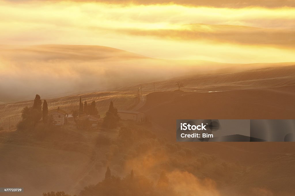 Rano Mgła na wschód słońca w Toskania - Zbiór zdjęć royalty-free (Bez ludzi)