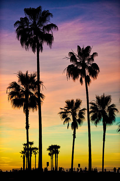 istock Colors of the night 477724401
