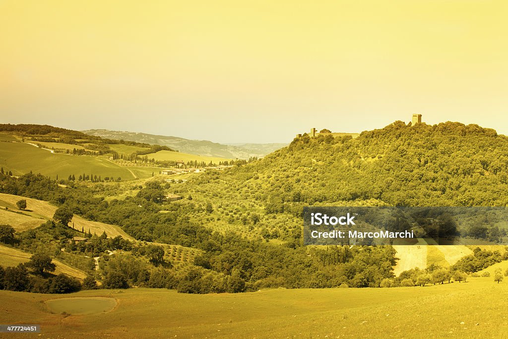 In Toscana vigneto - Foto stock royalty-free di Agricoltura