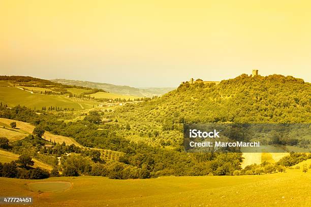 In Toscana Vigneto - Fotografie stock e altre immagini di Agricoltura - Agricoltura, Alba - Crepuscolo, Ambientazione esterna