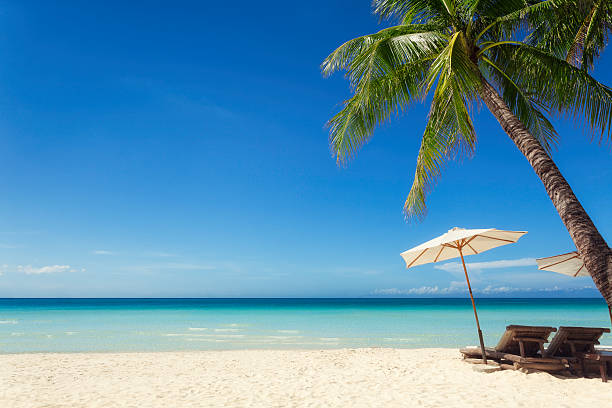Holiday in the sun Sun chairs and parasol under a palm tree at a tropical beach. philippines photos stock pictures, royalty-free photos & images