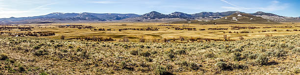 istock colorado rocky mountains foothills 477725788